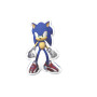 SONIC - Corps - Coussin '35x 20x 5.5cm'FIGCYPC-01-SC_1.jpg