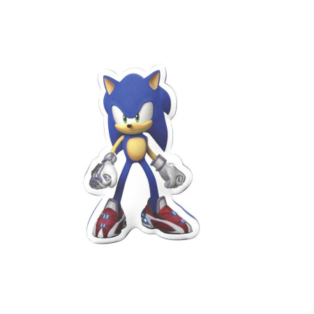 SONIC - Corps - Coussin '35x 20x 5.5cm'FIGCYPC-01-SC_1.jpg