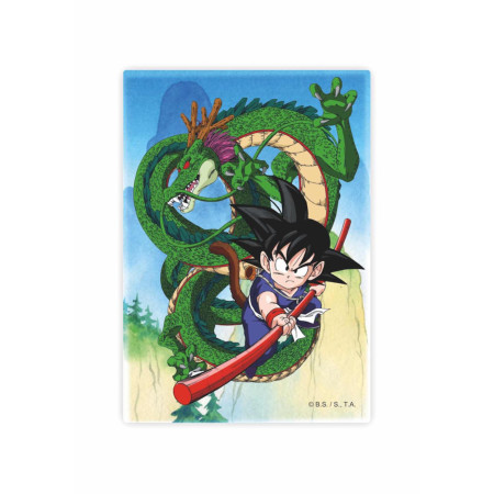 DRAGON BALL - Shenron et Goku - Magnet '10x15x1cm"FIGSDTDRB25215_1.jpg