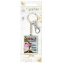 HARRY POTTER - Le Chicaneur - Porte-clésFIGKR000248_2.jpeg