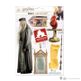 HARRY POTTER - Dumbledore - Planche de 7 magnets en mousseFIGMAP5025_1.png