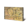 LORD OF THE RING -Carte Terre du Milieu -Impression sur bois 20x29.5cmFIGMW13105P_1.png