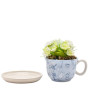 ALICE AUX PAYS DES MERVEILLES - Tasse Décorative + Fausse PlanteFIGDI2240_3.jpg