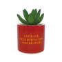 HARRY POTTER - Gryffondor - Faux Pot à  Plantes 6.5cmFIGPLNTFHP03_2.png