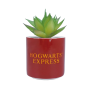 HARRY POTTER - Plateforme 9 3/4 - Faux Pot à  Plantes 6.5cmFIGPLNTFHP02_2.png