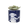 HARRY POTTER - Dobby - Faux Pot à  Plantes 6.5cmFIGPLNTFHP01_1.png