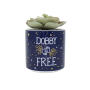 HARRY POTTER - Dobby - Faux Pot à  Plantes 6.5cmFIGPLNTFHP01_2.png