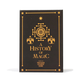 HARRY POTTER - History of Magic - Magnet HARRY POTTER - History of Magic - MagnetFIGMAGMHP61_1.png