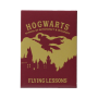 HARRY POTTER - Flying Lessons - MagnetFIGMAGMHP60_1.png