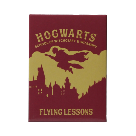 HARRY POTTER - Flying Lessons - Magnet HARRY POTTER - Flying Lessons - MagnetFIGMAGMHP60_1.png