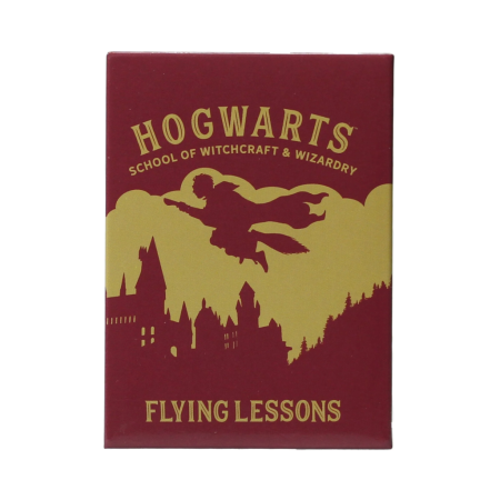 HARRY POTTER - Flying Lessons - MagnetFIGMAGMHP60_1.png