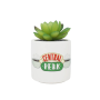 FRIENDS - Central Perk - Faux Pot à  Plantes 6.5cmFIGPLNTFFDS01_1.png