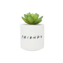 FRIENDS - Central Perk - Faux Pot à  Plantes 6.5cmFIGPLNTFFDS01_2.png