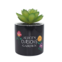 ALICE AU PAYS DES MERVEILLES - Faux Pot à  Plantes 6.5cmFIGPLNTFDC04_2.png