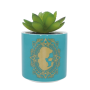 DISNEY - Aladdin - Faux Pot à  Plantes 6.5cm (Turquoise)FIGPLNTFDC02_1.png