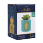 DISNEY - Aladdin - Faux Pot à  Plantes 6.5cm (Turquoise)FIGPLNTFDC02_3.png