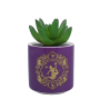 DISNEY - Aladdin - Faux Pot à  Plantes 6.5cm (Mauve)FIGPLNTFDC01_1.png