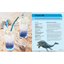 JURASSIC WORLD - Le livre de recettes officielCV07623792_4.png