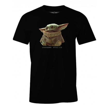 THE MANDALORIAN - Espëce inconnue - T-shirt homme (XL)FIGMESWMANTS005_1.png