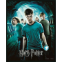 HARRY POTTER - L'ordre du Phénix - 3D Lenticular Poster 26X4FIGEPPL71325_1.png