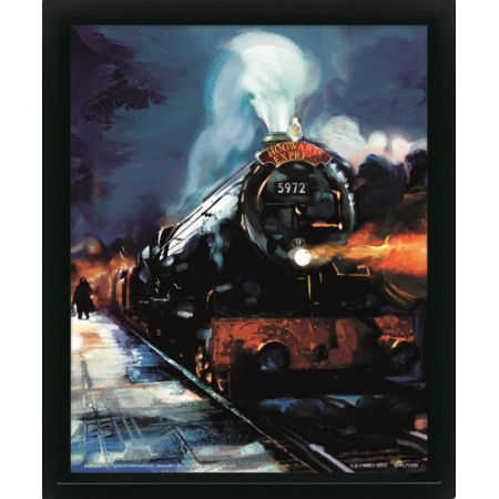 HARRY POTTER - Poudlard Express - Poster lenticulaire 3D 29x24x4cmFIGEPPL71399_1.png