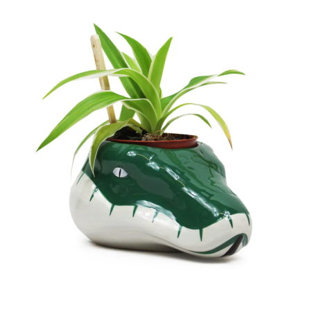 HARRY POTTER - Serpentard - Pot Pour PlanteFIGPLNTHP03_1.png