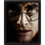 HARRY POTTER - Harry vs Voldemort - Poster lenticulaire 3D 26x20cmFIGEPPL71335_1.jpg