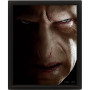 HARRY POTTER - Harry vs Voldemort - Poster lenticulaire 3D 26x20cmFIGEPPL71335_2.jpg