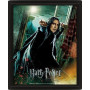 HARRY POTTER - Deathly Hallows - Poster lenticulaire 3D 26x20cmFIGEPPL71326_1.jpg