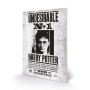 HARRY POTTER - Undesirable No1 - Impression sur bois 20x29.5FIGMW12847P_1.jpg