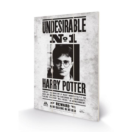 HARRY POTTER - Undesirable No1 - Impression sur bois 20x29.5FIGMW12847P_1.jpg