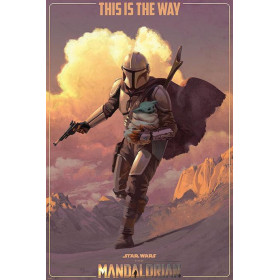 THE MANDALORIAN - On The Run - Poster 61x91cmFIGPP34733_1.jpg