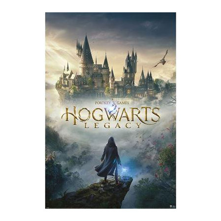 HOGWARTS LEGACY - Wizarding World Universe - Poster 61 x 91cmFIGPP35135_1.jpg