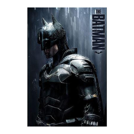 THE BATMAN - Downpour - Poster 61 x 91cmFIGPP34893_1.jpg