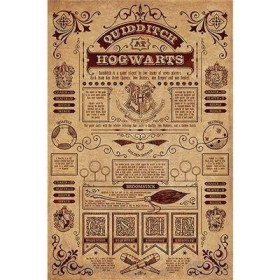 HARRY POTTER - Quidditch à  Poudlard - Poster 61 x 91cmFIGPP34067_1.jpg