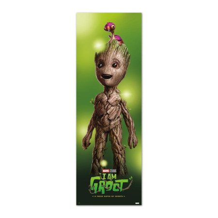 GROOT - Poster de Porte 53x158 cmFIGPPGE8126_1.jpg