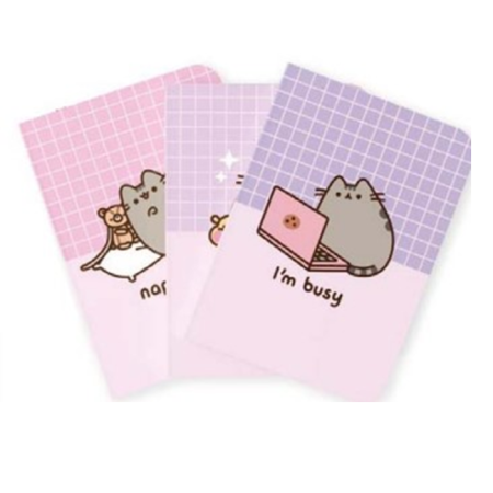 PUSHEEN - Pack de 3 Notebooks - Format A5FIGPCA5009_1.png