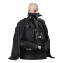 STAR WARS 6 - Dark Vador (sans casque) - Mini-Buste 1/6 15cmFIGOCT232327_2.jpg