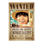 ONE PIECE NETFLIX - Wanted Luffy - Poster 61 x 91cmFIGGPE5779_1.jpg