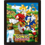 SONIC - Catching Rings - Poster lenticulaire 3D 26x20cmFIGEPPL71538_1.jpg