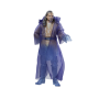 STAR WARS - Qui-Gon Jinn (Esprit de la Force) - Fig. Black Series 15cmFIGF82025L2_3.png